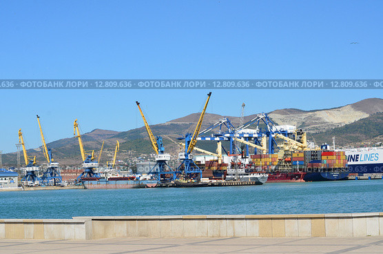 Портовые краны в Новороссийском морском торговом порту (2015 год). Редакционное фото, фотограф Наталья Горкина / Фотобанк Лори