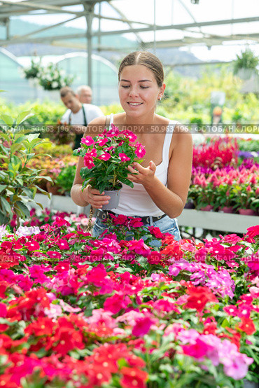 Portrait of satisfied woman with Vinca flowers in flower pot. Стоковое фото, фотограф Яков Филимонов / Фотобанк Лори