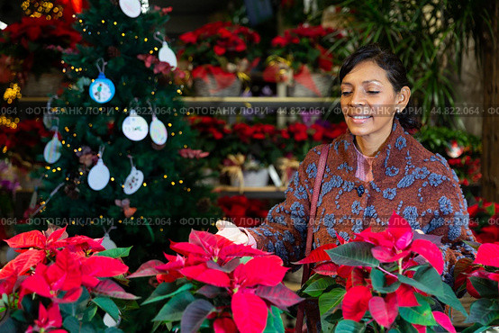 Portrait of woman chooses Poinsettias pulcherrima in flower shop. Стоковое фото, фотограф Яков Филимонов / Фотобанк Лори