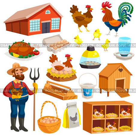 Poultry Farm Elements Set . Poultry farm elements set with owner  birds barn coop roost chicken meat and eggs isolated vector illustration. Стоковая иллюстрация, агентство Ingram Publishing / Фотобанк Лори