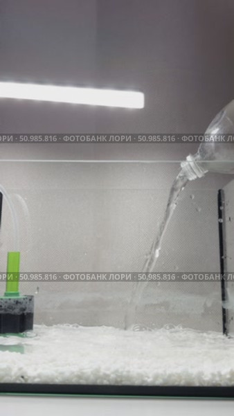 Pour clean water from a bottle into a new aquarium. Стоковое видео, видеограф Кашапова Эльвира / Фотобанк Лори
