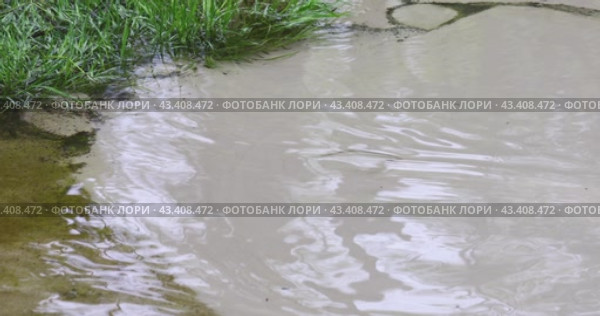 Поверхность ручья с питьевой водой поступающей из-под земли. Стоковое видео, видеограф Сергей Чайко / Фотобанк Лори
