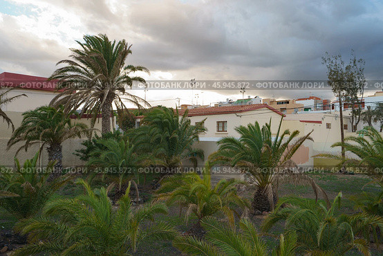 Повседневная жизнь на остове Гран Канария (2018 год). Стоковое фото, фотограф YuryKara / Фотобанк Лори