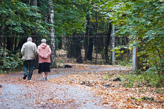 Пожилая пара на прогулке в осеннем парке. Вид со спины.  An elderly couple is walking in the autumn park. View from the back. Стоковое фото, фотограф Лариса Гордеева / Фотобанк Лори