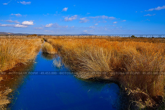 Prat Cabanes Torreblanca Natural Park in Castellon of Spain. Стоковое фото, агентство Ingram Publishing / Фотобанк Лори