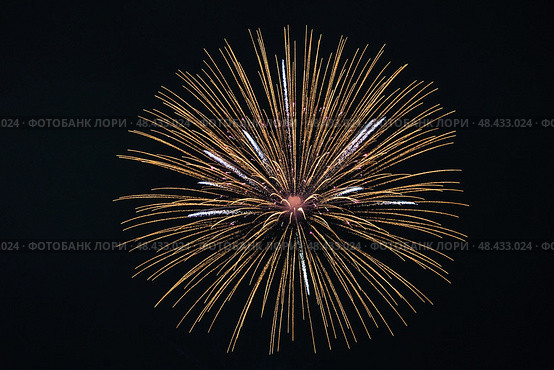 Праздничный салют. Салют в небе. Festive fireworks. Fireworks in the sky. Стоковое фото, фотограф Ольга Митряева / Фотобанк Лори