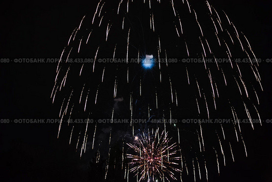 Праздничный салют. Салют в небе. Festive fireworks. Fireworks in the sky. Стоковое фото, фотограф Ольга Митряева / Фотобанк Лори