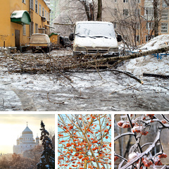 Альбом: ледяной дождь в Центральном регионе 25-26 декабря 2010
