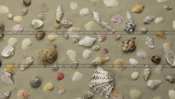 Приближение фона из ракушек на пляже. Вид сверху. На фоне пляжа, Approaching, background of seashells on the coast. View from above. Стоковое видео, видеограф Александр Собко / Фотобанк Лори