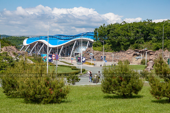 Приморский океанариум. Остров Русский, Владивосток (2023 год). Редакционное фото, фотограф Галина / Фотобанк Лори