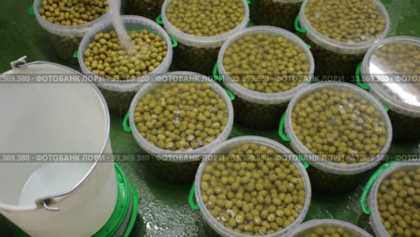 Process of brine addition of pickled olives in plastic buckets before packaging at artisanal pickles producing factory. Стоковое видео, видеограф Яков Филимонов / Фотобанк Лори