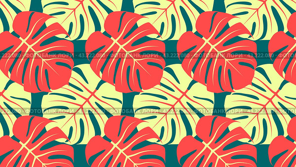 Прямоугольный фон с ярким красочным узором из листьев монстеры. Rectangular background with bright colorful monstera leaves pattern. Редакционная иллюстрация, иллюстратор Ирина Щербакова / Фотобанк Лори