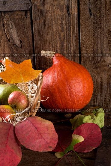 pumpkin apfel basket. Стоковое фото, агентство Ingram Publishing / Фотобанк Лори