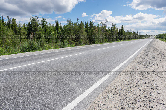 Пустое шоссе Сургут-Когалым летом. Empty highway Surgut-Kogalym in summer. Стоковое фото, фотограф Евгений Романов / Фотобанк Лори