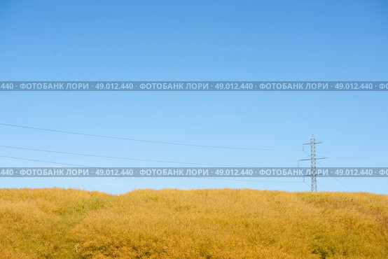 Pylons with wires on a yellow field. Стоковое фото, агентство Ingram Publishing / Фотобанк Лори