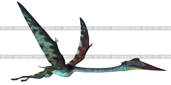 Quetzalcoatlus predatory pterosaur. Стоковое фото, фотограф Corey Ford/Stocktrek Images / ТАСС / Фотобанк Лори