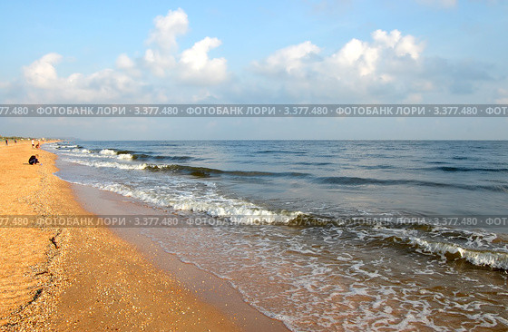 Ракушечник на пляже в станице Голубицкой на Азовском море (2009 год). Стоковое фото, фотограф Анна Мартынова / Фотобанк Лори