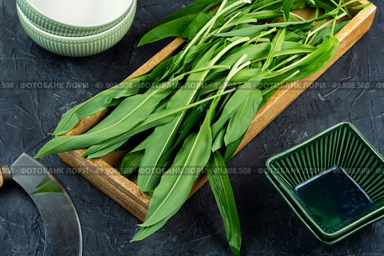 Ramps, green wild leeks. Fresh ramsons leaves.. A bunch of wild onion or Ramps on the table. Стоковое фото, агентство Ingram Publishing / Фотобанк Лори