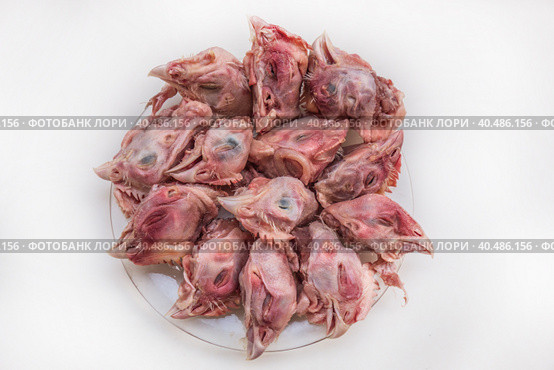 Raw chicken heads. Cat food. Стоковое фото, фотограф Iva Noel / Фотобанк Лори