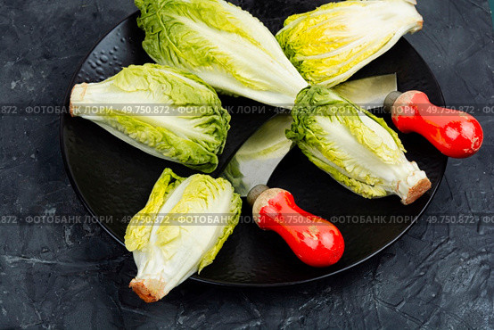 Raw green Romaine lettuce hearts. Baby cos lettuce leaves.. Group of Romaine lettuce hearts. Стоковое фото, агентство Ingram Publishing / Фотобанк Лори