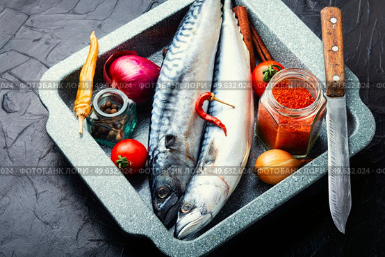 Raw mackerel fish and spices on the kitchen table. Uncooked scomber fish. Fresh, raw mackerel fish. Стоковое фото, агентство Ingram Publishing / Фотобанк Лори