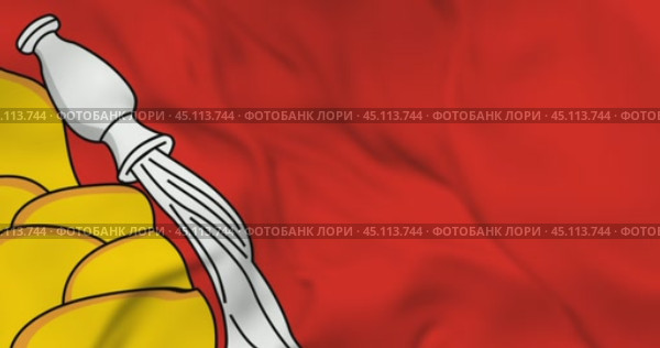 Развевающийся флаг Воронежской области, регион РФ. Циклическая анимация в 4к. Стоковая анимация, аниматор Александр Кузнецов / Фотобанк Лори