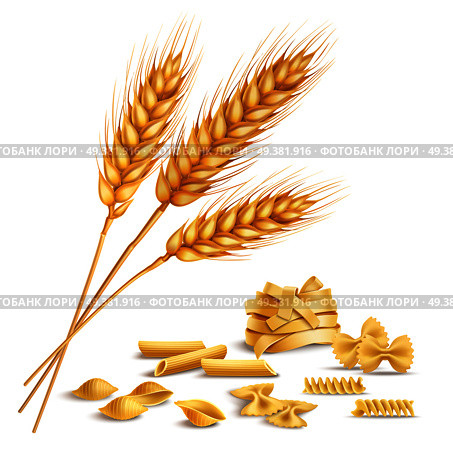 Realistic ripe wheat spikelets and pasta including fusilli, farfalle, penne composition on white background vector illustration. Realistic Wheat Spikelets And Pasta. Стоковая иллюстрация, агентство Ingram Publishing / Фотобанк Лори