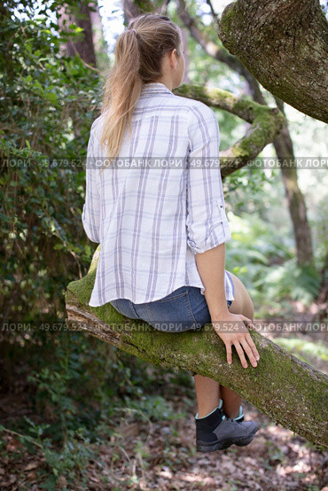 rear-view of woman sitting on a tree branch. Стоковое фото, агентство Ingram Publishing / Фотобанк Лори