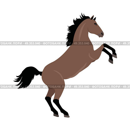 Rearing sorrel horse with hind legs vector. Flat design. Domestic animal. Country inhabitants concept. For farming, animal husbandry, horse sport illustrating. Agricultural species. Isolated on white. Rearing Sorrel Horse Illustration in Flat Design. Rearing Sorrel Horse Illustration in Flat Design. Стоковая иллюстрация, агентство Ingram Publishing / Фотобанк Лори