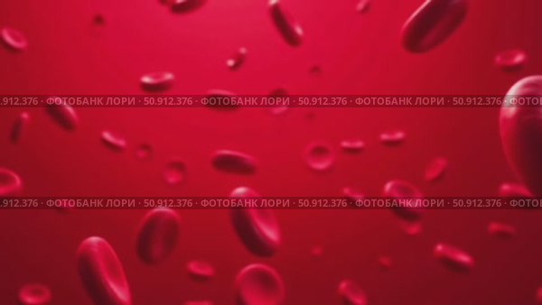 Red blood cells move through the bloodstream, which illustrates their vital role in transporting oxygen. Стоковое AI-видео, аниматор ketpro.design / Фотобанк Лори