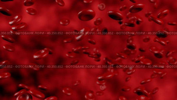 Red blood cells moving in blood stream in artery. 3D animation of hemoglobin cells. Medical 3d animation of red blood cells flow through blood vessel In circulatory system. 3D Animation 4k Resolution. Стоковое видео, видеограф Ирина Ткачук / Фотобанк Лори
