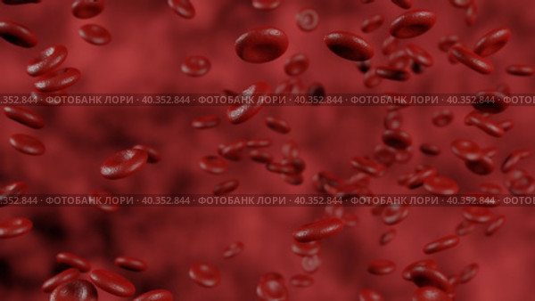 Red blood cells moving in blood stream in artery. 3D animation of hemoglobin cells. Medical 3d animation of red blood cells flow through blood vessel In circulatory system. microbiology concept. Стоковое видео, видеограф Ирина Ткачук / Фотобанк Лори