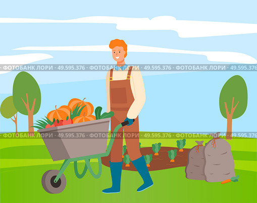 Red-haired farmer in overalls rolls garden wagon with crop of pumpkins, tomatoes. Vegetable garden with sprouts of vegetables, carrots. Harvested bags. Farming, agriculture, self-sufficiency. The farmer rolls cart with the crop. Harvest of pumpkins, tomatoes, carrots. Sacks of carrots. Стоковая иллюстрация, агентство Ingram Publishing / Фотобанк Лори