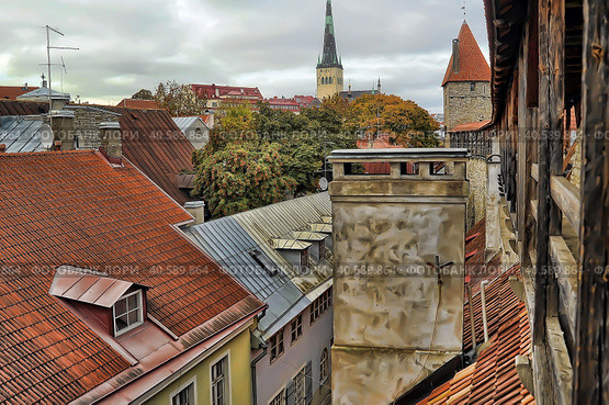 Red roofs of Tallinn. Estonia (2014 год). Редакционное фото, фотограф Анна Кривицкая / Фотобанк Лори