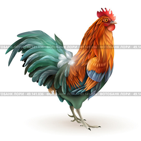 Red Rooster Cock Side View Abstract . Classic fairy tales rooster with red green plumage  coming year zodiac sign side view abstract vector illustration. Стоковая иллюстрация, агентство Ingram Publishing / Фотобанк Лори