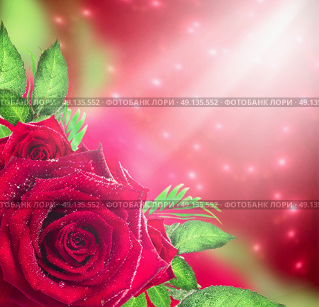 Red roses background with light and bokeh, holiday floral border. Стоковое фото, агентство Ingram Publishing / Фотобанк Лори