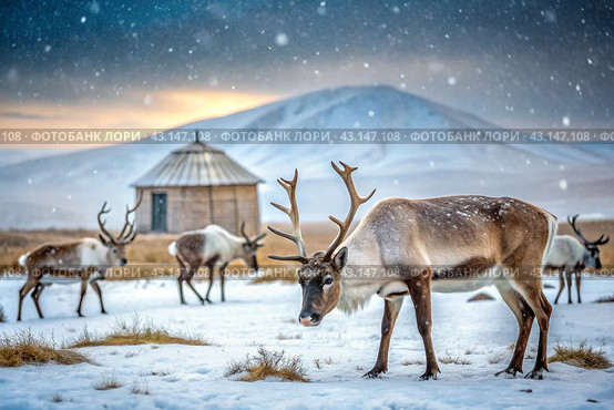 Reindeer graze against the background of a tundra landscape and a winter yurt. Snow is falling. Snowstorm. Стоковое AI-изображение, AI-художник Photojuli / Фотобанк Лори