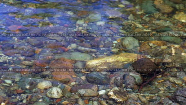 Река Коярд (приток реки Ус) у парка Ергаки в Саянах / Stones and pebbles under the transparent water on the bottom of river (2018 год). Редакционное видео, видеограф Сергей Пристяжнюк (Serg Zastavkin) / Фотобанк Лори