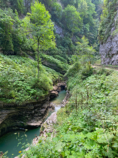 Река Курджипс. Гуамское ущелье, Адыгея (2020 год). Стоковое фото, фотограф Мария Кылосова / Фотобанк Лори