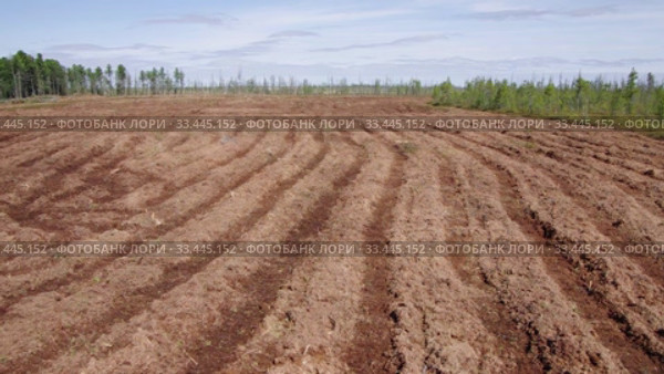 Рекультивация участка нефтедобычи. Мульчирование болота. Reclamation of an oil production site. Mulching the swamp. (2014 год). Редакционное видео, видеограф Евгений Романов / Фотобанк Лори
