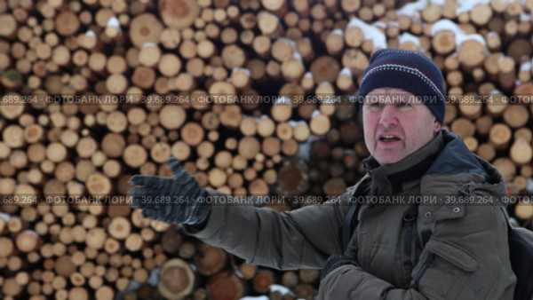 Reporting on logging activities is conducted by male correspondent. Стоковое видео, видеограф Владимир Григорьев / Фотобанк Лори