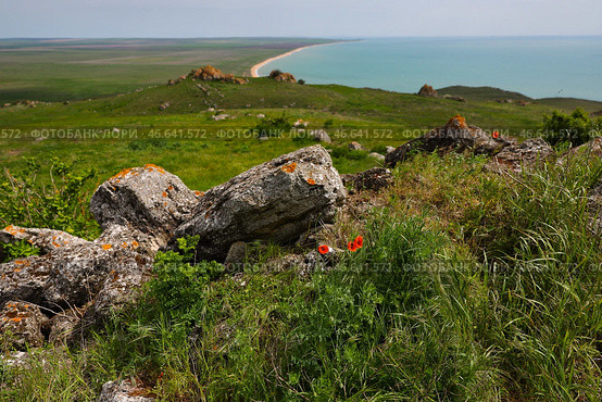 Республика Крым. Берег Черного моря (2024 год). Стоковое фото, фотограф Андрей Рубцов / ТАСС / Фотобанк Лори