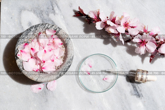 Retinol and almond oil serum beauty care, anti aging natural cosmetic, laboratory testing concept. Retinol and almond oil serum oil beauty care. Стоковое фото, агентство Ingram Publishing / Фотобанк Лори