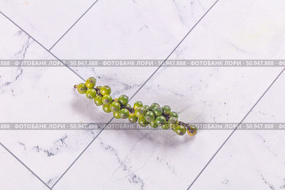 Ripe green pepper corn branch. Стоковое фото, фотограф Андрей Старостин / Фотобанк Лори