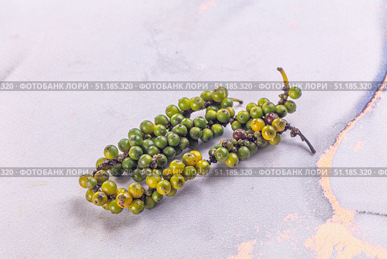 Ripe green pepper corn branch. Стоковое фото, фотограф Андрей Старостин / Фотобанк Лори