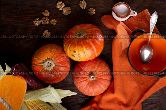 ripe orange pumkins served at wooden brown table with  orange bowl and coconut milk.  flat lay. healthy life concept. Стоковое фото, агентство Ingram Publishing / Фотобанк Лори