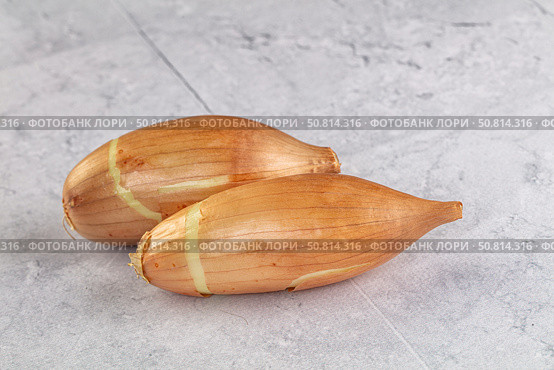 Ripe shallot onion for cooking. Стоковое фото, фотограф Андрей Старостин / Фотобанк Лори