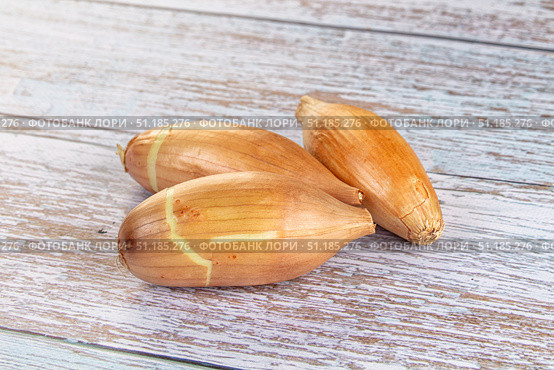 Ripe shallot onion for cooking. Стоковое фото, фотограф Андрей Старостин / Фотобанк Лори