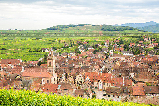 Riquewihr in the heart of the Alsatian vineyard Alsace France. Стоковое фото, агентство Ingram Publishing / Фотобанк Лори