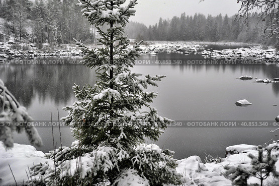 River Canyon and rocks in winter. Стоковое фото, фотограф Анна Кривицкая / Фотобанк Лори